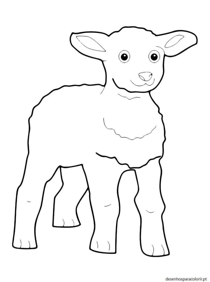 Desenhos de ovelhas 20
